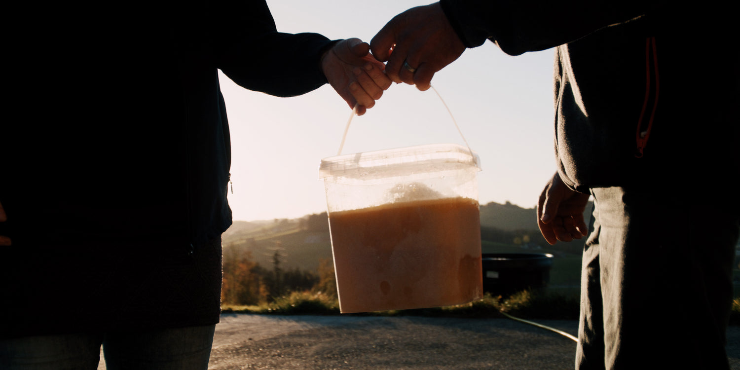 Clear plastic bucket filled with orange liquid, held by two hands, set against a scenic countryside backdrop.